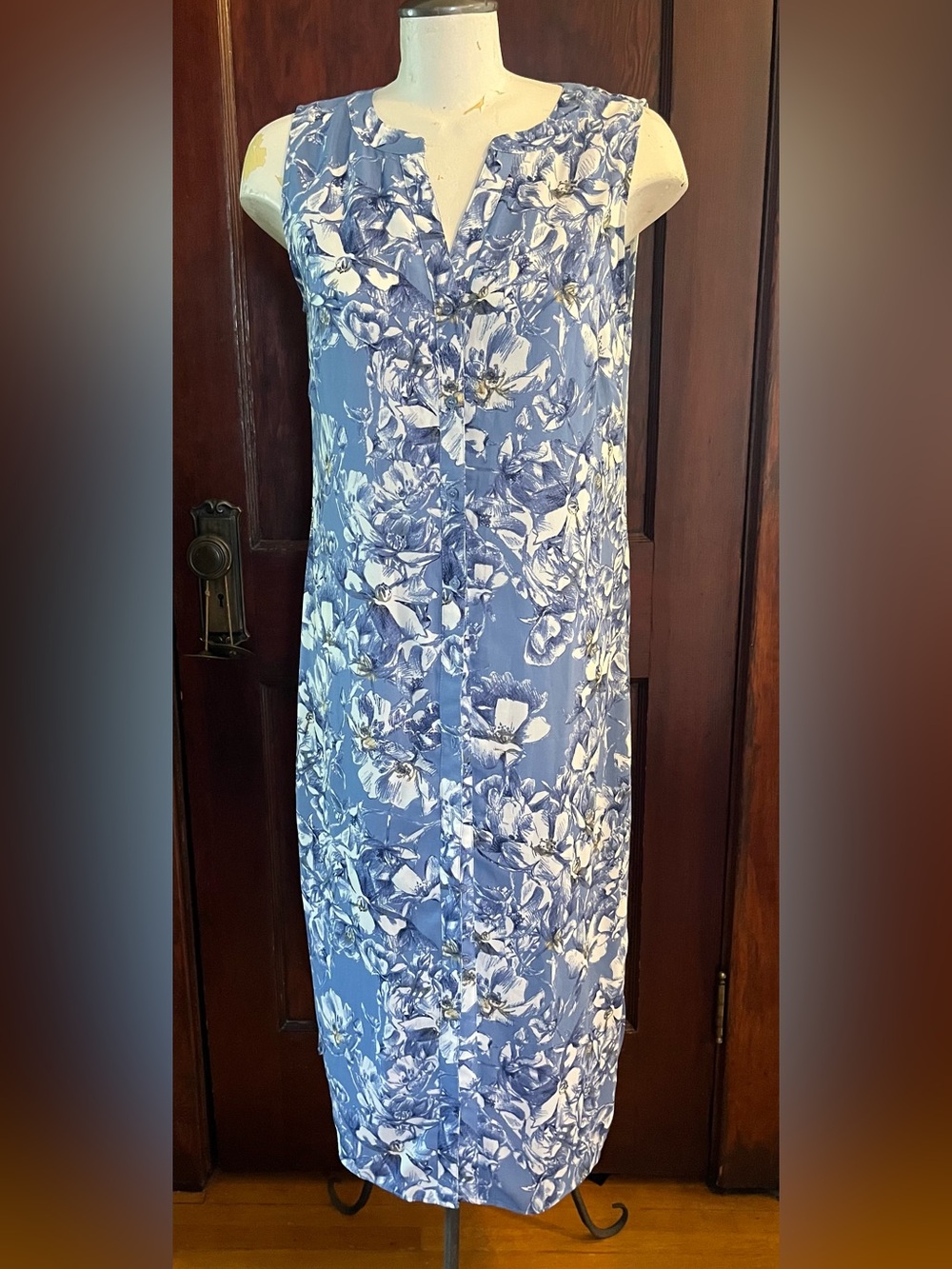 Rose & Olive Blue and White Floral Button-Front Dress